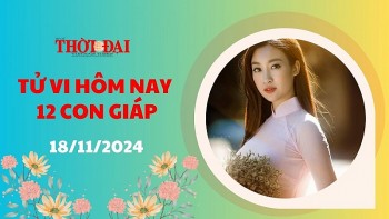 tu vi hom nay 12 con giap 18112024 mao khong may man trong duong tai loc