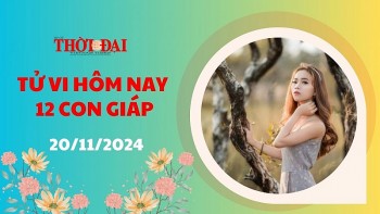 tu vi hom nay 12 con giap 20112024 mui co nhieu noi buon hoi may man trong su nghiep