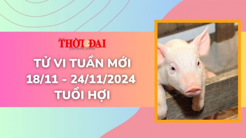 Tử vi tuần mới 18/11 đến 24/11/2024 tuổi Hợi: Tình duyên, công danh tài lộc