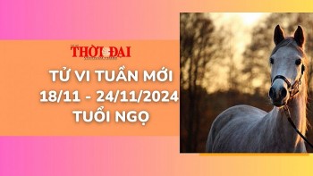 tu vi tuan moi 1811 den 24112024 tuoi ngo tinh duyen cong danh tai loc