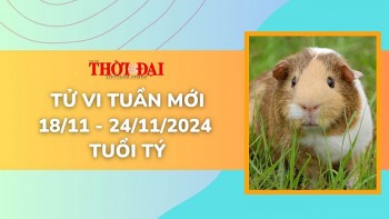 tu vi tuan moi 1811 den 24112024 tuoi ty tinh duyen cong danh tai loc