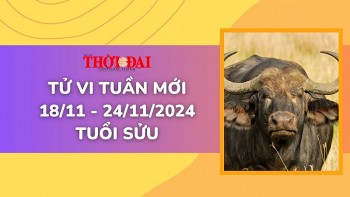 tu vi tuan moi 1811 den 24112024 tuoi suu cong danh tai loc tinh duyen