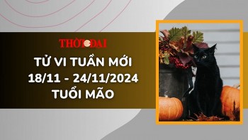 tu vi tuan moi 1811 den 24112024 tuoi mao tinh duyen cong danh tai loc