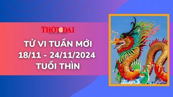 tu vi tuan moi 1811 den 24112024 tuoi thin tinh duyen cong danh tai loc