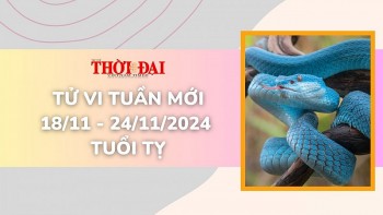 tu vi tuan moi 1811 den 24112024 tuoi ty suc khoe tinh duyen cong danh tai loc