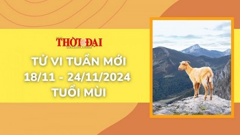 tu vi tuan moi 1811 den 24112024 tuoi mui tinh duyen cong danh tai loc