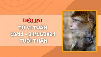 tu vi tuan moi 1811 den 24112024 tuoi than tinh duyen cong danh tai loc suc khoe