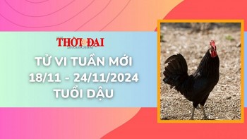 tu vi tuan moi 1811 den 24112024 tuoi dau tinh duyen cong danh tai loc