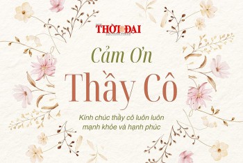 Những lời chúc ngày Nhà Giáo Việt Nam 20/11 ý nghĩa gửi đến thầy cô