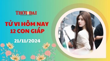 Tử vi hôm nay 12 con giáp 21/11/2024: Tý bị tiểu nhân quấy phá