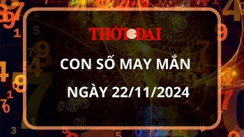 con so may man hom nay 22112024 12 con giap hoi tai tinh dan duong tien vao nhu nuoc