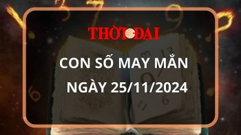 Con số may mắn hôm nay 25/11/2024 12 con giáp: Ngày hái ra tiền của Dần