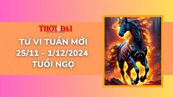 tu vi tuan moi 2511 den 1122024 tuoi ngo tinh duyen cong danh tai loc