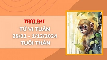 tu vi tuan moi 2511 den 1122024 tuoi than tinh duyen cong danh tai loc