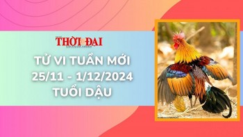 tu vi tuan moi 2511 den 1122024 tuoi dau tinh duyen cong danh tai loc may man vuot bac