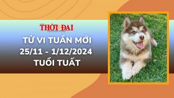 tu vi tuan moi 2511 den 1122024 tuoi tuat tinh duyen cong danh tai loc