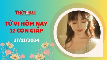 tu vi hom nay 12 con giap 27112024 thin van trinh vo cung tuoi sang