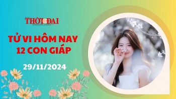tu vi hom nay 12 con giap 29112024 mui gap nhieu rac roi