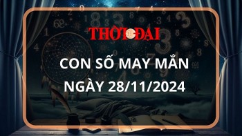 con so may man hom nay 28112024 12 con giap suu thanh cong noi tiep thanh cong