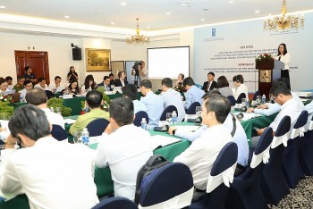 viet nam the hien trach nhiem no luc trong thuc thi cac nghia vu thanh vien cong uoc chong tra tan