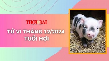 tu vi thang 122024 tuoi hoi doi mat voi ca co hoi va thu thach