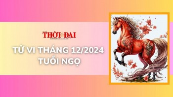 tu vi thang 122024 tuoi ngo doi mat voi nhieu thay doi kho doan