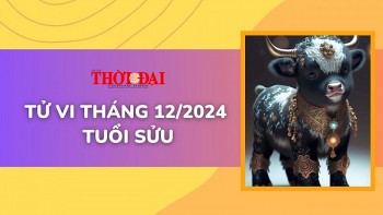 tu vi thang 122024 tuoi suu kho khan don dap cong viec tri tre
