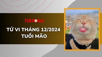 tu vi thang 122024 tuoi mao chua co buoc dot pha