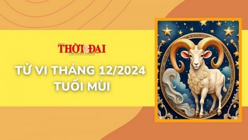 tu vi thang 122024 tuoi mui duoc don tai loc nhieu co hoi kiem tien mo ra