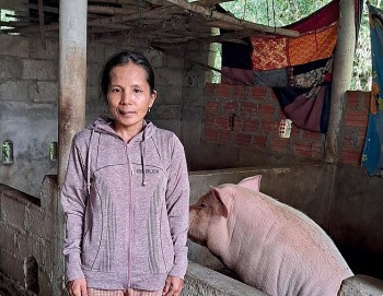 tai chinh vi mo tu world vision sinh ke ben vung mo loi thoat ngheo