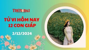 tu vi hom nay 12 con giap 2122024 thin lam gi cung thuan loi