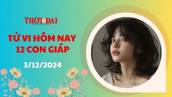 tu vi hom nay 12 con giap 3122024 mui cong viec tien trien suon se