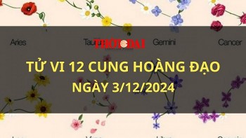 tu vi hom nay 12 cung hoang dao 3122024 bach duong can than mat tien oan