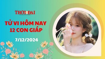 tu vi hom nay 12 con giap 7122024 dau co hoi phat tai phat loc den rat gan