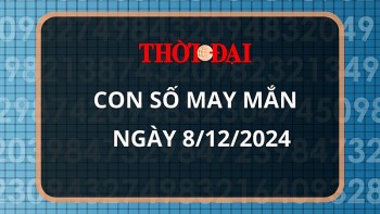 con so may man hom nay 8122024 12 con giap tim ra nhung con so phat tai phat loc