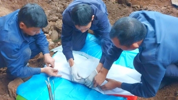 tim dong doi tren dat nuoc trieu voi