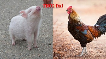 top con giap may man hom nay 5122024 hoi thang tien cong viec dau tin vui duong tai chinh