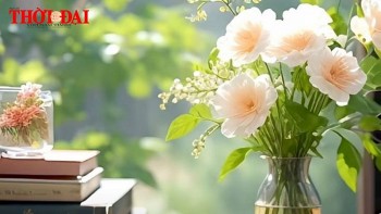 tu vi hom nay 12 cung hoang dao 5122024 xu nu tro nen mau me va thich su xu ninh