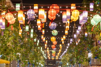 le hoi den long quoc te lon nhat viet nam dua ocean city thanh diem den hoi tu tinh hoa the gioi