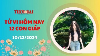 tu vi hom nay 12 con giap 10122024 suu tai loc doi dao