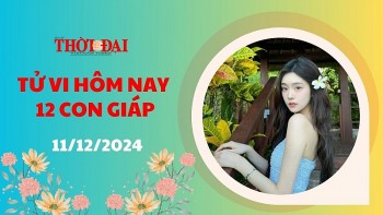 tu vi hom nay 12 con giap 11122024 thin gap xui rui co diem bao tieu nhan quay pha