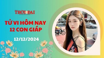 tu vi hom nay 12 con giap 12122024 su nghiep ty co nhieu diem sang