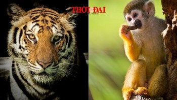 top con giap may man hom nay 8122024 than don tin hieu tich cuc dan kinh doanh phat tai