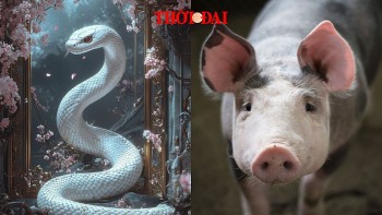 top con giap xui xeo hom nay 10122024 ty doi mat lo toan hoi lam gi cung thay kho