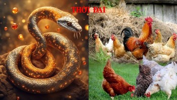 top con giap may man cuoi tuan 7 8122024 ty co loc an uong dau tai chinh kha quan