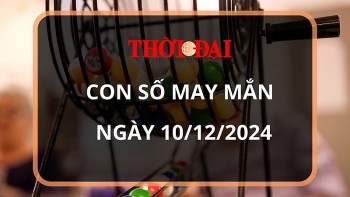 con so may man hom nay 10122024 12 con giap tim ra con so doi van cua tuoi than