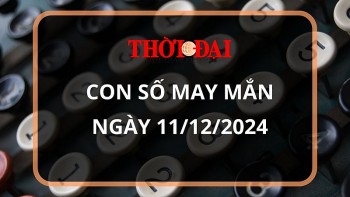 con so may man hom nay 11122024 12 con giap dan than tai dan loi tien bac keo ve nha