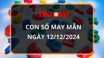 con so may man hom nay 12122024 12 con giap hoi cat tinh chieu menh dau tu nhan ba