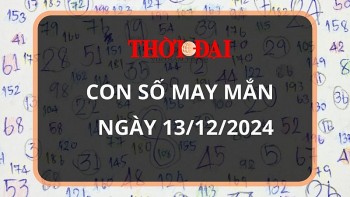 con so may man hom nay 13122024 12 con giap ty dung dau thang day