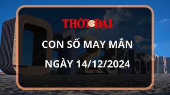 con so may man hom nay 14122024 12 con giap mao tai loc day nha